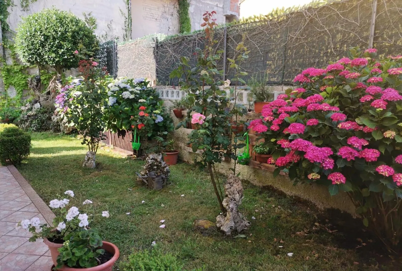 Villanova Monteleone Da Rita Bed & Breakfast Villanova Monteleone